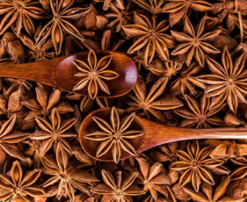 Dried Star Anise Superior Whole Sale Hot Sale Natural Clean Anise High Quality Dried Spice Star Anise From Vietnam Manufacturer 2