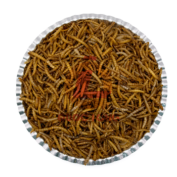 Mealworms Dried High Quality Export Animal Feed High Protein Pp Bag Made In Vietnam Manufacturer 4