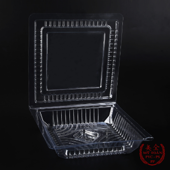 Square Coin PET Tray Best Brand Manufacturer Plastic Tray From Vietnam Top Grade Quality Cheap Price Low MOQ Hot Selling 1