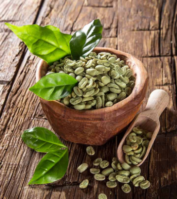 Attractive Flavor Coffee Green Beans All Size Raw Good Scent Drinks Customized Packaging Vietnamese Manufacturer 1