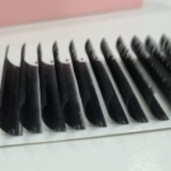 Hot Selling FLAT Eyelash Extensions Semi-Hand Made Using For Personal Care Different Colors Packaging Tray Vietnamese  4