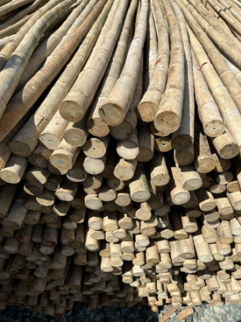 Dry Bamboo Poles Hot Sale Solid Moso Bamboo For Decor And Construction Bamboo Cane Packed In Bundles with Top Exporter 2