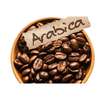 Arabica Coffee Beans Roasted Coffee Bean Price Wholesale S18 Raw Bitterness Premium Vietnamese Caffeine Made In Vietnam 4