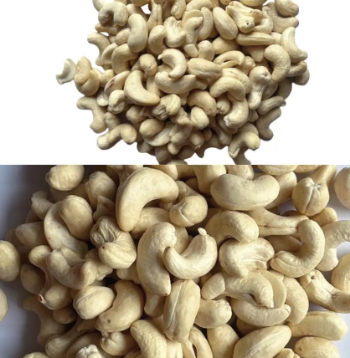 Cashew Nuts W180 Professional Team Export Food High Protein Customized Packaging From Vietnam Trading 2