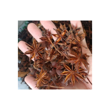 Top Quality Premium Grade Star Anise Roll Herbs Hot Selling Low MOQ Custom OEM ODM Service Wholesaler Supplier 6