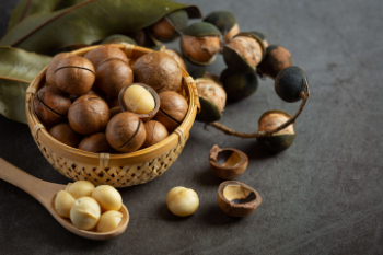 Macadamia Nuts Premium Grade High Quality Macadamia Nuts With Shell Raw Organic Bulk Nuts Wholesales From Vietnam Manufacturer 3