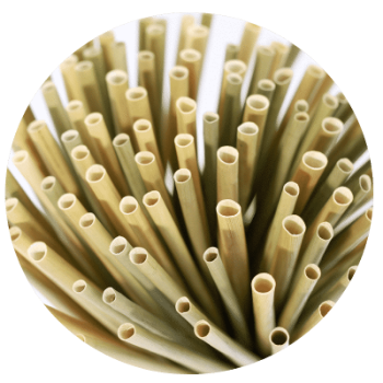 Innovative Compostable Eco-friendly 100% Premium Dried eagle grass straws 25cm in Vietnam 4