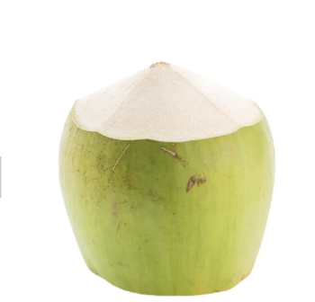 Fresh Green Coconut Wholesale Price 2023 Hot Selling! Drinking and Cooking Viet Nam Tropical Fruit High Export Standard 5