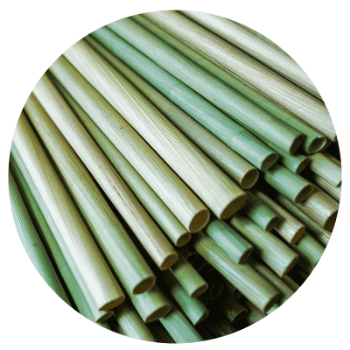 Eco Friendly Straw 100% Compostable Dried eagle grass straws 25cm Drinking Straws best sell on amazon made in vietnam 1