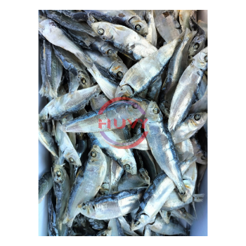 Indian Mackerel Nature Factory Price Sea Food Wholesale Fast Delivery Herring Fish Dry Herring OEM Service Made In Vietnam 6