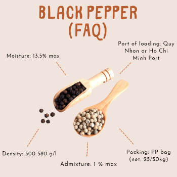 Factory Prices Top Exporter Black Pepper High Quality Hot Spice Pepper For Restaurant Spicy Taste Made In Vietnam Manufacturer 1