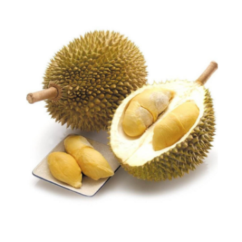 Wholesaler Fresh Durian Monthong Eat Directly Sweet And Fatty Taste Organic Packed In Box Vietnam Manufacturer 8