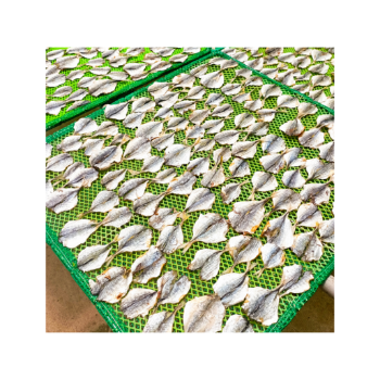 Dried Yellow Stripe Trevally Fish Fish Drying Oven Cheap Price Export Ly Huynh Tasty Vacuum Pack Vietnam Manufacturer 4