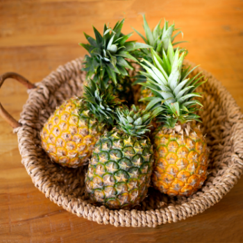 Fresh Pineapple Fresh High Quality  Nutritious Food For Cooking Vinagreen Customized Packing Vietnam Manufacturer 5