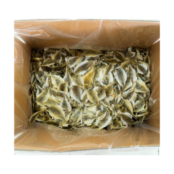 Dried Fish From Viet Nam Yellow Croaker Fish Cheap Price Export Ly Huynh Tasty Vacuum Pack From Vietnam Manufacturer 6