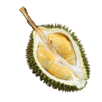 Durian Organic Variety New Crop Using For Many purposes TCVN packing in carton from Vietnam Manufacturer 7