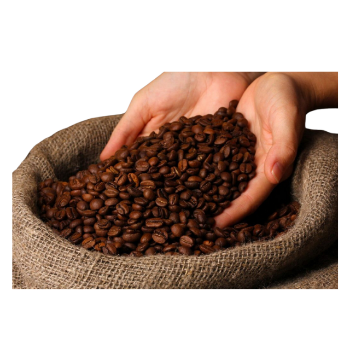 Wholesale Robusta Honey Coffee Beans Roasted Coffee Beans S18 Raw Bitterness Premium Vietnamese Caffeine Made In Vietnam 1