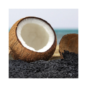 Activated Carbon Coconut Shell Fast Delivery Large Voids Water Purification Gmp Vilas Iso Halal Gmp Trabaco In Vietnam 2