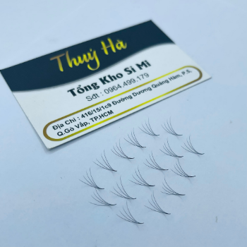 Thuy Ha Eyelashes Extension Mi Fan 4D Eyelashes 0.07 500 Fans OEM ODM Service extension tool fan  6