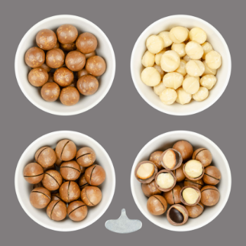 Macadamia Nuts With Shell Premium Grade High Quality Raw Organic Bulk Nuts Macadamia Nuts Wholesales From Vietnam Manufacturer 6