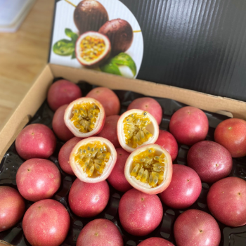 Fresh Passion Fruit For Export Us Haccp High Quality Viet Tropical Fruit Carton Box Vietnam Manufacturer 8