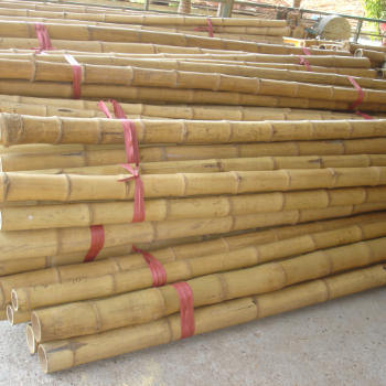 Accept ODM OEM Service Bamboo Long Straight Pole For Decoration Good Price Raw Material Friendly Export Top Guaranteed Popular From Vietnam Manufacturer  1