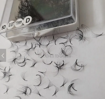 TD Lashes - Loose Promade 5D Synthetic Hair Silk Hand Made With Custom Logo Packaging Box Manufacturer Volume Fans Fans Lash