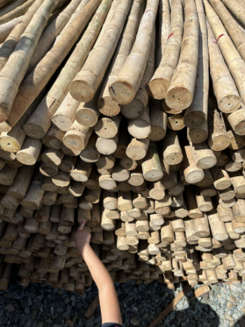 Sell bamboo poles in bulk Bamboo Cane, high-quality construction and decoration materials 2