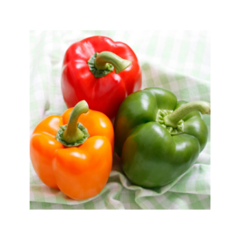 Hot Item Fresh Bell Pepper 100% Natural Capsicums Tropical & Sub-Tropical Fruit Packed In Box Vietnam Manufacturer 5