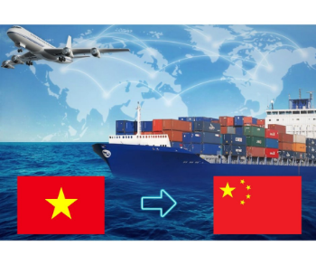 Lcl Fcl Sea Freight Forwarder Sea freight agencies  Rates from VietNam port to Korea port 6