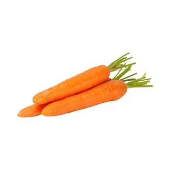 Fresh Carrot Fruit & Vegetable Products Good price Organic Follow the Customer's Request Made in Vietnam Manufacturer 8