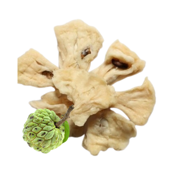 Dried Soursop Packaging Vietnam Dried Fruit Organic Sweet Taste Mildly Sour Rich Protein Fast Delivery Made In Vietnam 7