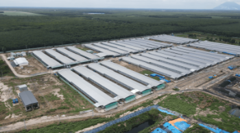 QL FARMS (TAY NINH) LIABILITY LIMITED COMPANY