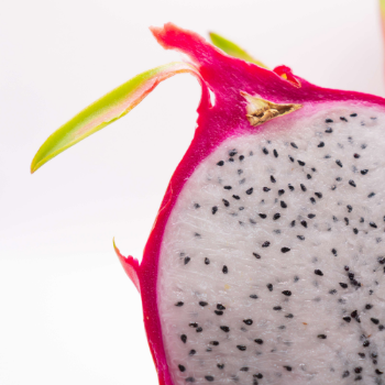 Newest Crop Hot Selling Natural Sweet Fresh Dragon Fruit From Phuc An Competitive Price Ready To Export Vietnam Manufacturer 9