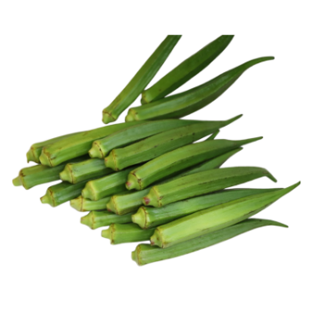 Fresh Okra Cheap Price 100% Organic Using For Food Packing In Carton made in Vietnam Farm 4