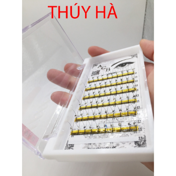 Thuy Ha Eyelashes Extension C curvature tray eyelashes with stones 0.15 12mm OEM ODM Service 5