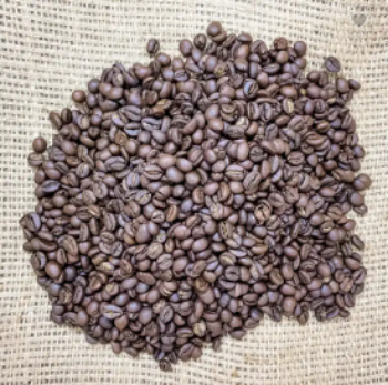 Roasted Arabica Dark Roast Coffee Beans S16 Wash Process Earthy Smoky Dark Chocolate Di Linh Highland Lam Dong Vietnam 3