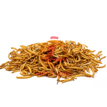Dried Mealworm For Fish Natural Export Animal Feed High Protein Customized Packaging Made In Vietnam Manufacturer 7