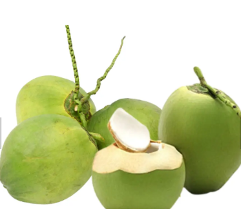 Wholesale 2023 Hot Selling! Price Fresh Green Coconut Premium Quality for Drinking and Cooking Viet Nam Tropical Fruit