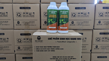 Composite Plant Growth Factory Price Salicylic Acid 1000ML Agriculture Biological Fertilizer Boxes Vietnam Manufacturer 3