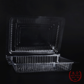 Rectangle Coin PET Tray Best Brand Manufacturer Plastic Tray From Vietnam Top Grade Quality Cheap Price Low MOQ Hot Selling Vietnam Supplier 1