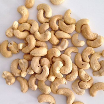 Nutritious Cashew Nut Dried Good Price Food Ingredients Whole Vacuum Packing From Vietnam Manufacturer