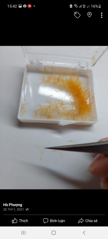 Good Price Fan 5D Mix Color Eyelash Synthetic Hair Silk Super Eyelash Extension Ha Phuong Brand name Semi handmade cheap