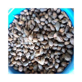 Vietnam Hot Selling Black Cardamom High Quality High Grade Back Cardamom Organic Cardamom Customized Packaging 8