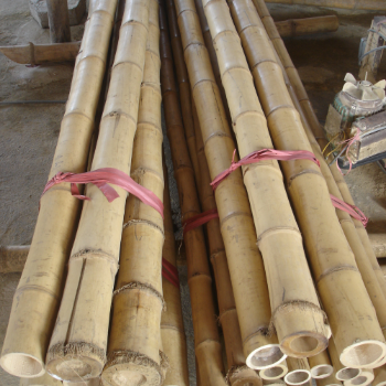 Bamboo Pole Straight Raw Material Best Selling Eco-friendly Ready To Export Top Guaranteed Popular For Making Household Decoration From Vietnam Manufacturer 1