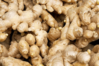 Hot Item Fresh Ginger 100% Natural Organic Good For Health Packed In Box Vietnam Manufacturer 1