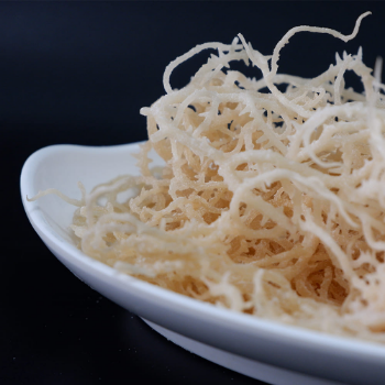 Salted Sea Moss Cheap Price Fresh Wildcrafted raw superfood Irish Moss Natural Seaweed GCAP - OEM Viet Nam 2