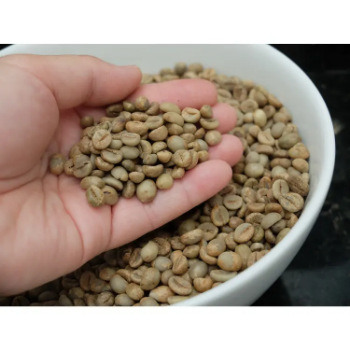 Raw Robusta Coffee Beans Culi Robusta S18 - Clean High Quality Natural Using For Making Food And Beverage No Additives