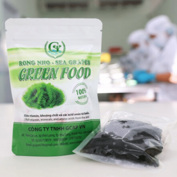 Salted Sea Grapes Seaweed 200 Grams From Viet Nam Green Food GCAP VN Manufacturer Organic Seaweed - Halal HACCP 3