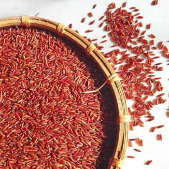 Dragon Blood Rice Brown Rice Competitive Price High Benefits Using For Food HALAL BRCGS HACCP ISO 22000 Certificate Vacuum Pack 6